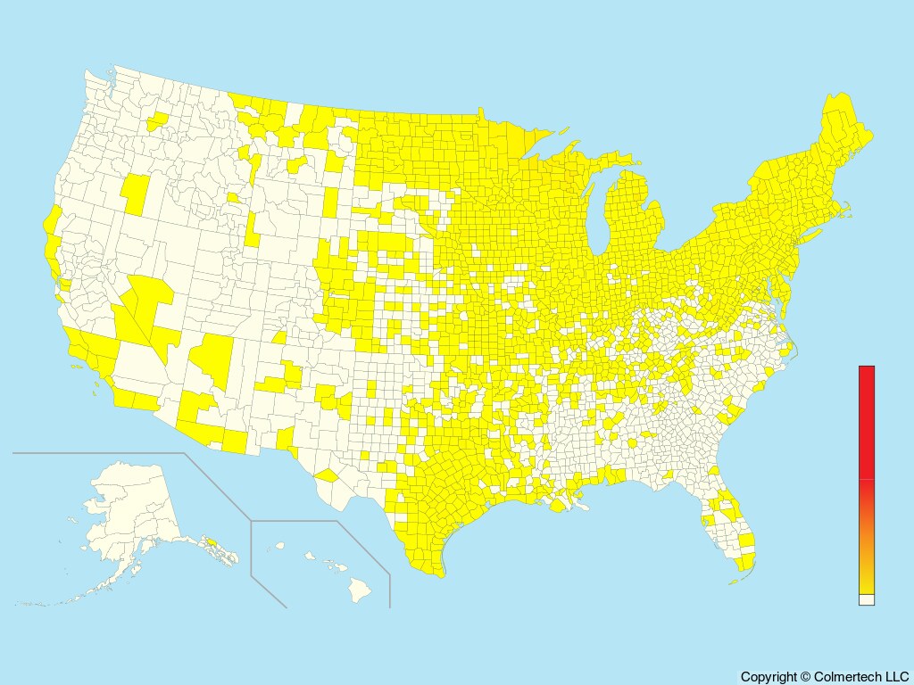 Mourning Warbler (Geothlypis philadelphia) - United States