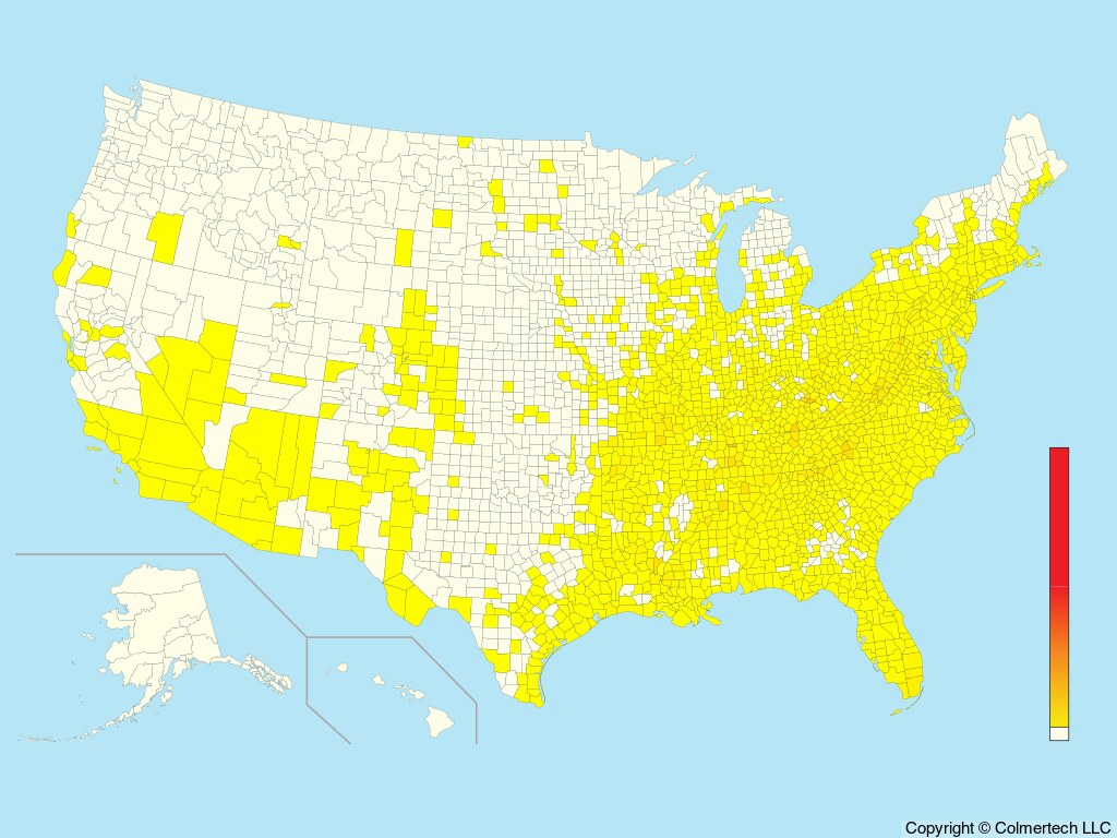 Worm-eating Warbler (Helmitheros vermivorum) - United States