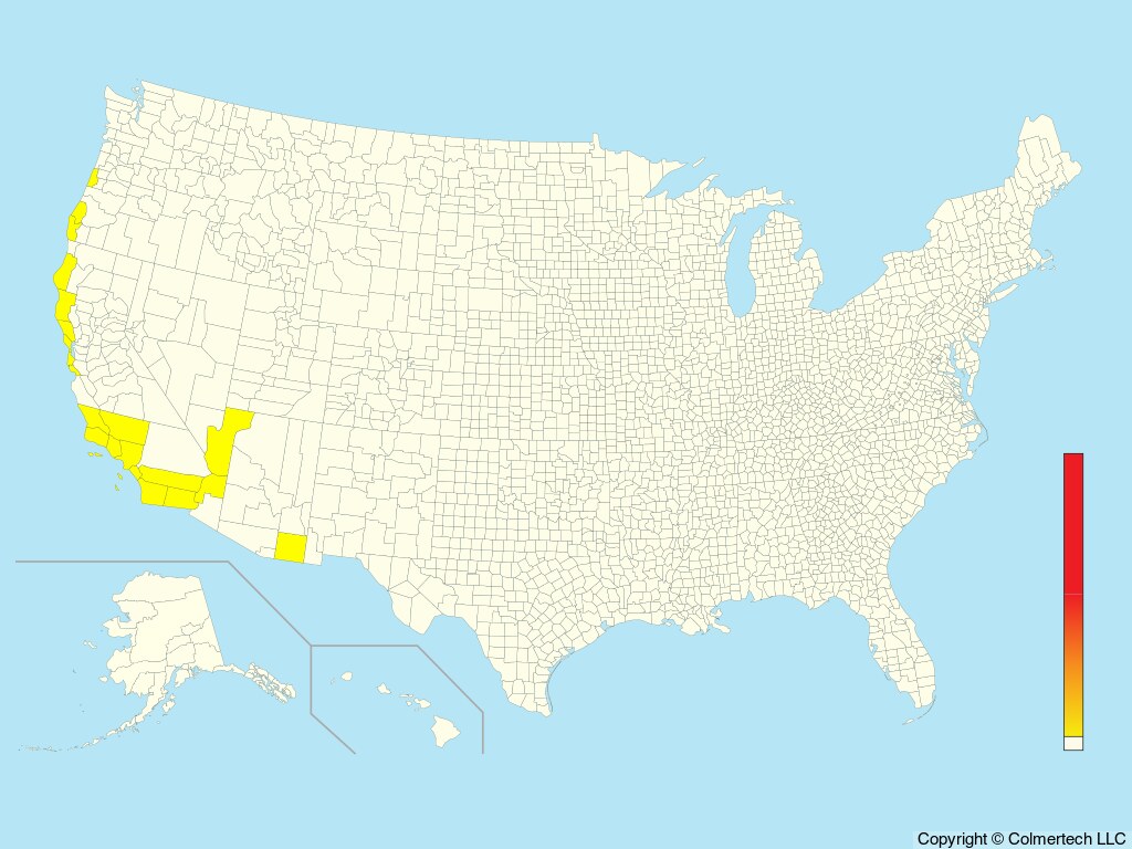 Black Storm-Petrel (Hydrobates melania) - United States