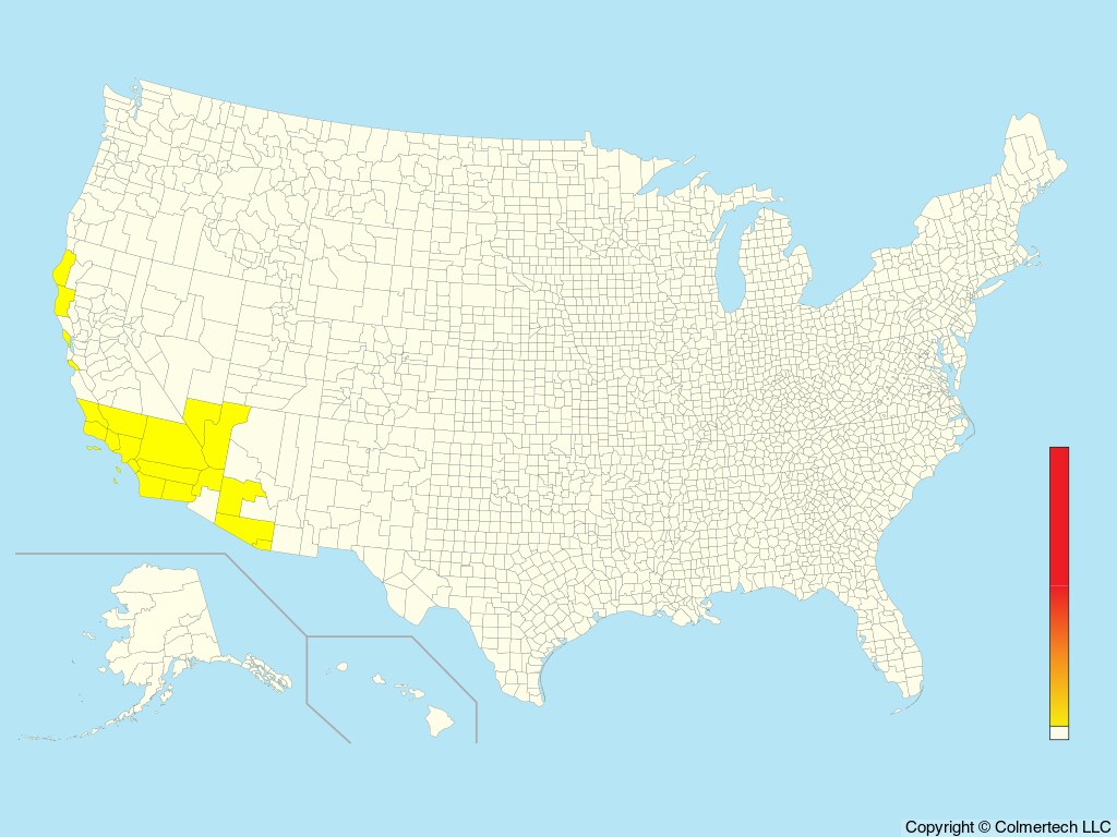 Least Storm-Petrel (Hydrobates microsoma) - United States