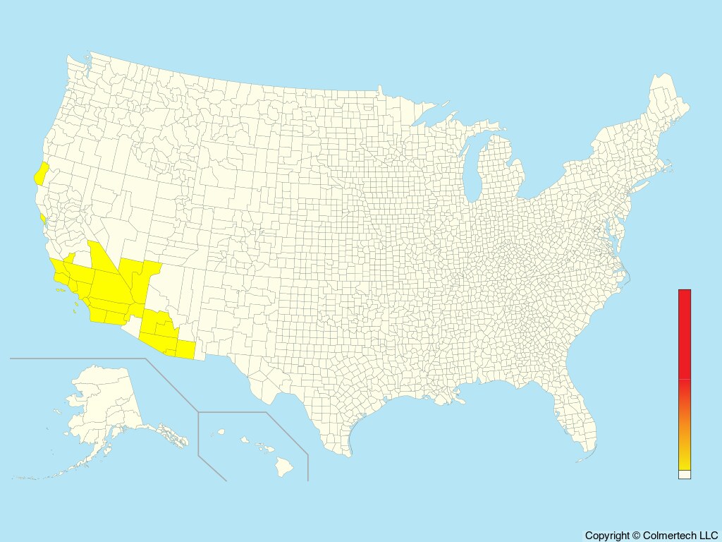 Wedge-rumped Storm-Petrel (Hydrobates tethys) - United States
