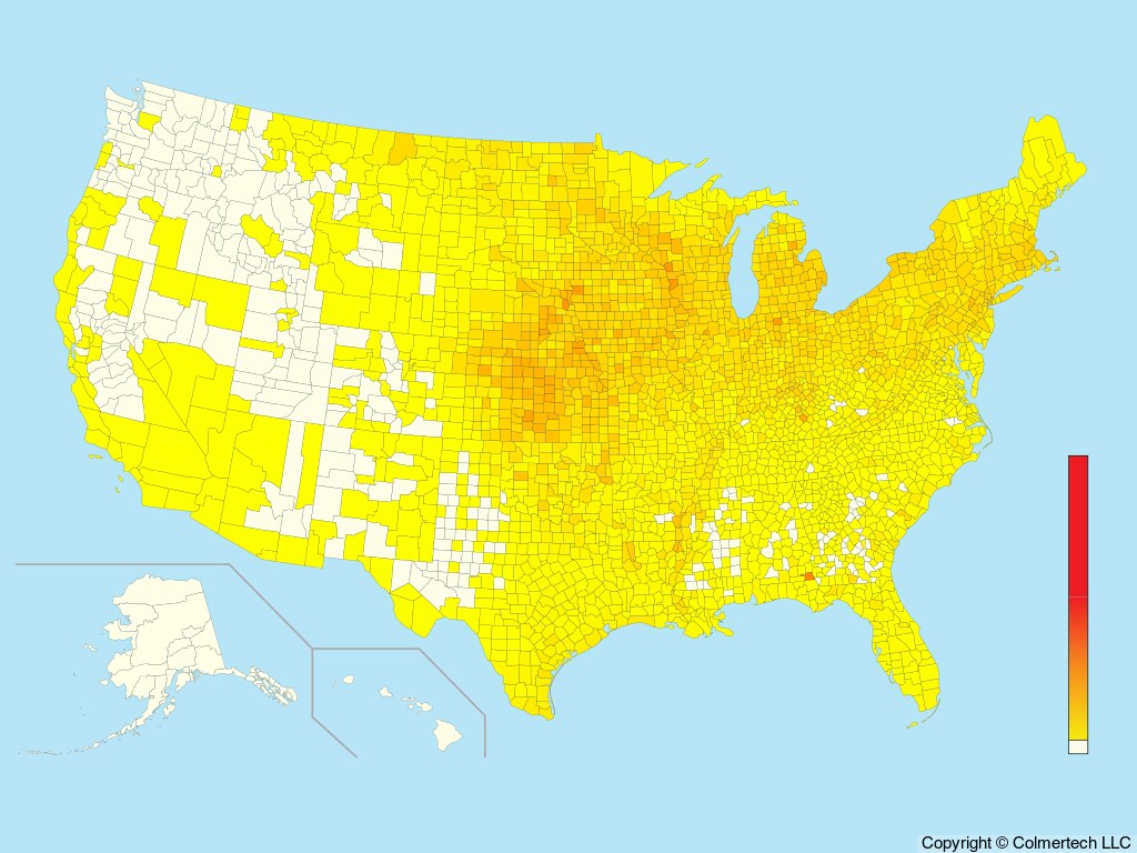 Baltimore Oriole (Icterus galbula) - United States