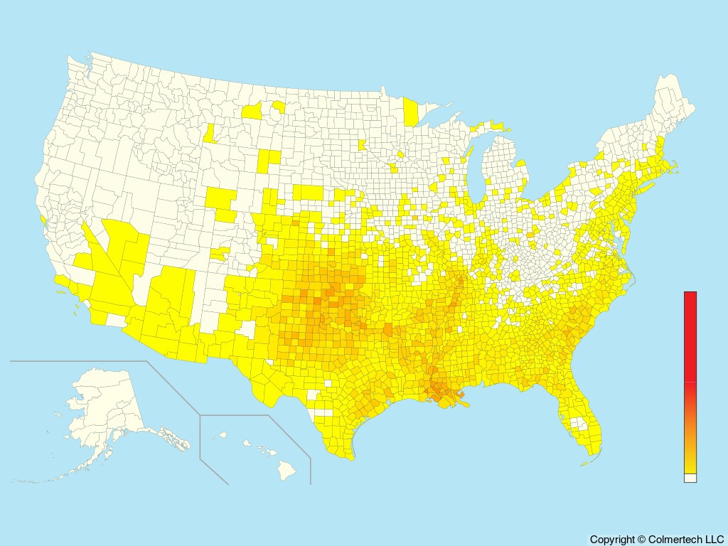 Mississippi Kite (Ictinia mississippiensis) - United States
