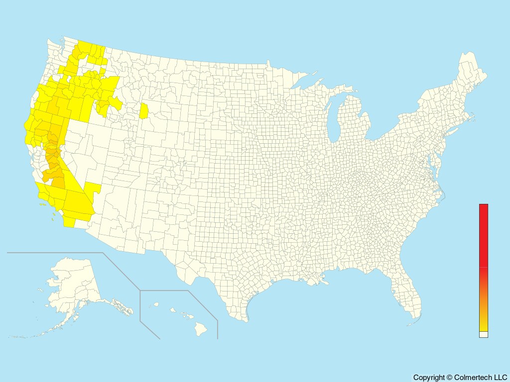 White-headed Woodpecker (Leuconotopicus albolarvatus) - United States