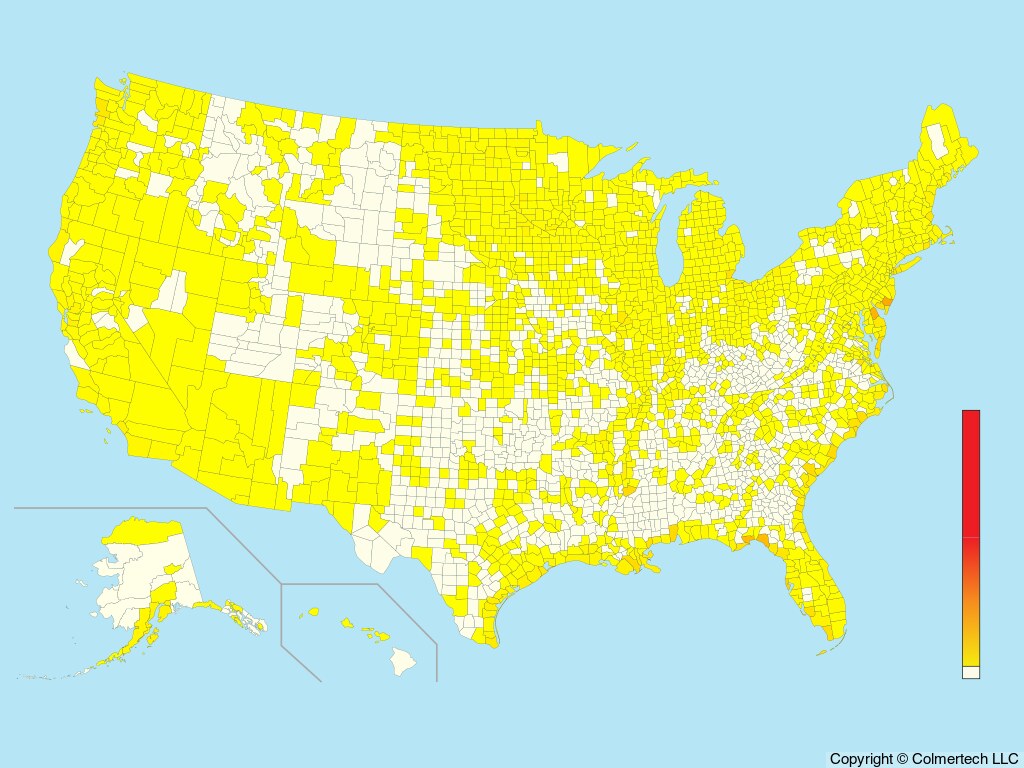 Short-billed Dowitcher (Limnodromus griseus) - United States
