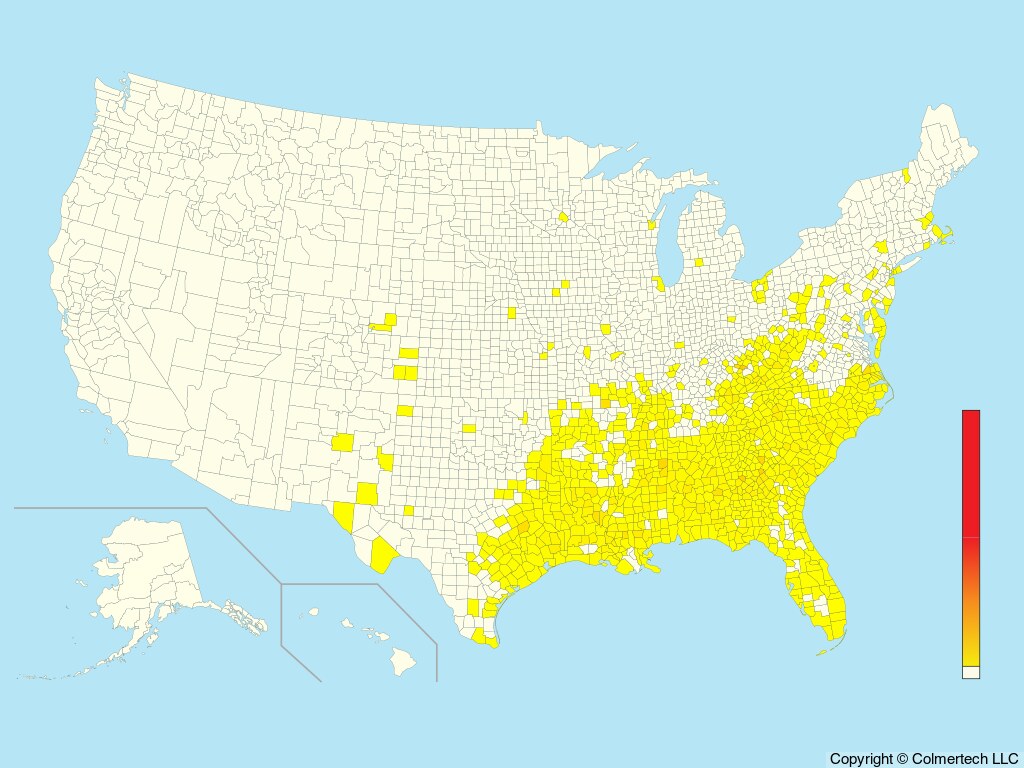 Swainson's Warbler (Limnothlypis swainsonii) - United States