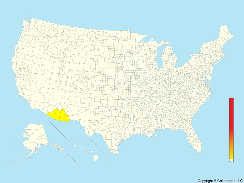 Whiskered Screech-Owl (Megascops trichopsis) - United States