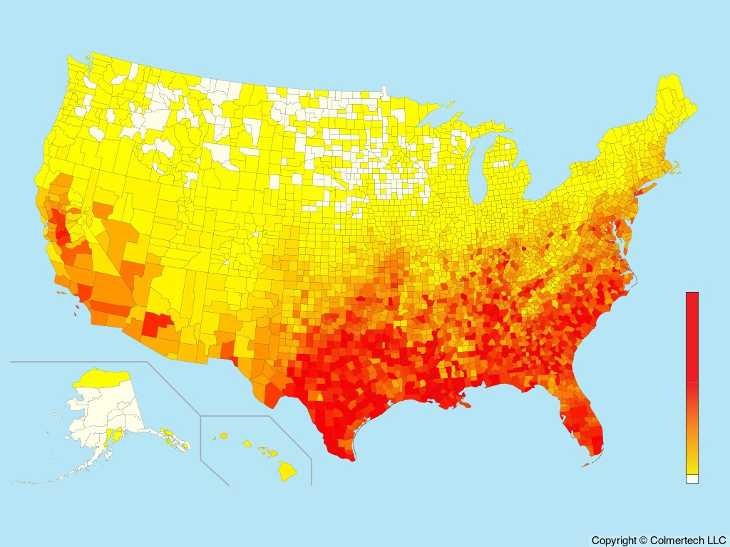 Northern Mockingbird (Mimus polyglottos) - United States