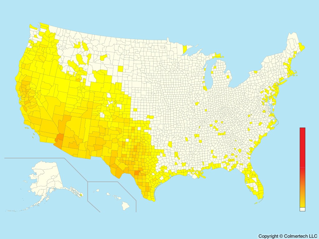 Ash-throated Flycatcher (Myiarchus cinerascens) - United States