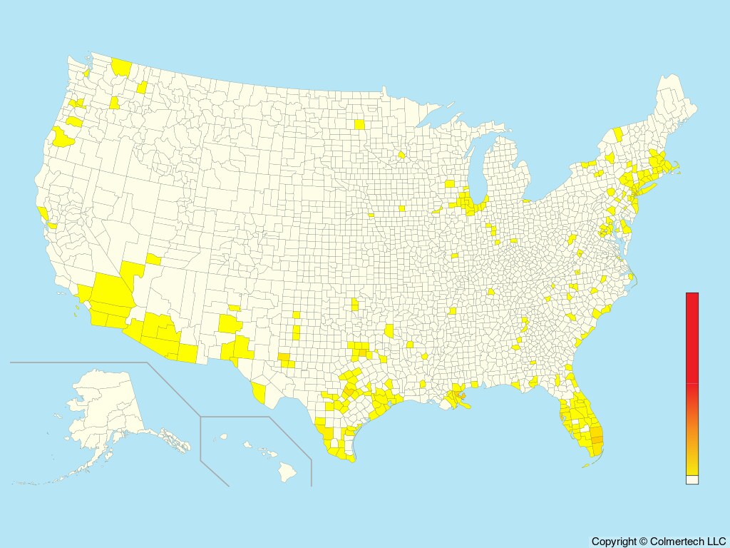 Monk Parakeet (Myiopsitta monachus) - United States