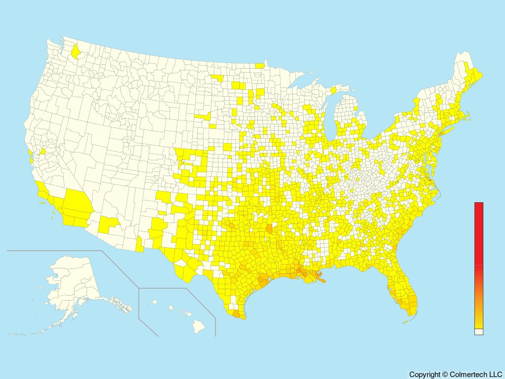 Yellow-crowned Night Heron (Nyctanassa violacea) - United States