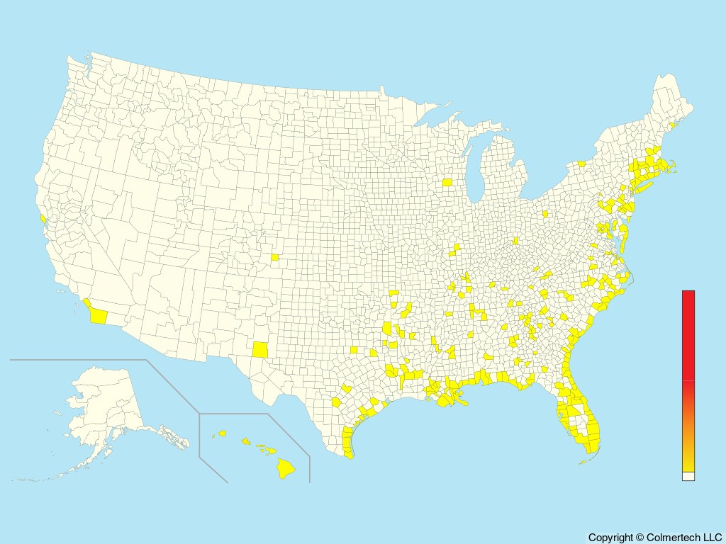 Sooty Tern (Onychoprion fuscatus) - United States