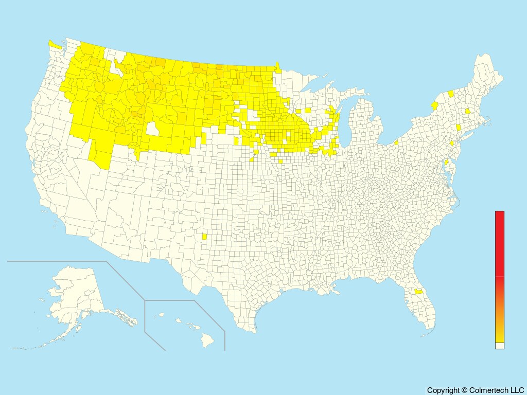 Gray Partridge (Perdix perdix) - United States