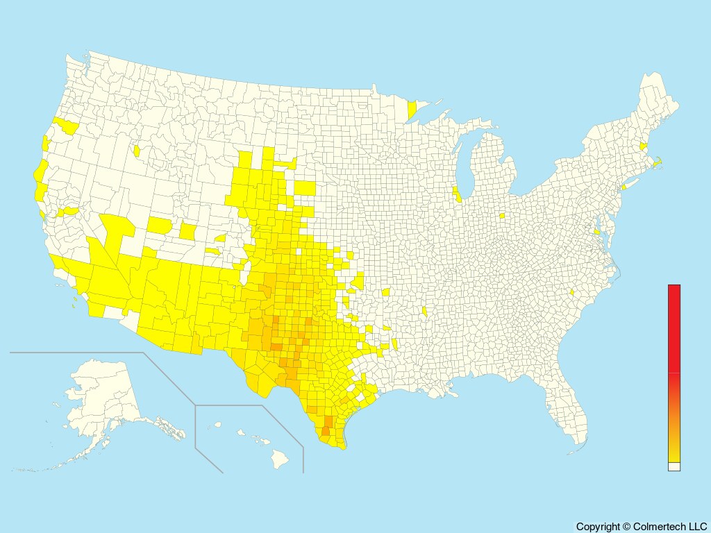 Cassin's Sparrow (Peucaea cassinii) - United States