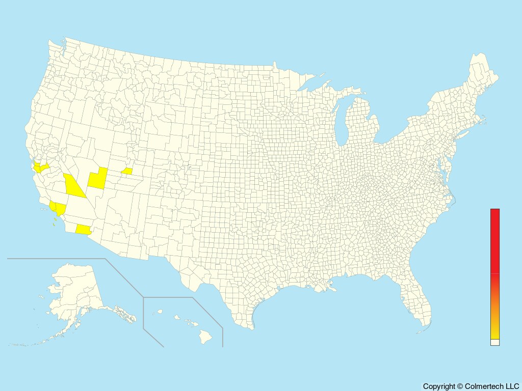 Lesser Flamingo (Phoeniconaias minor) - United States