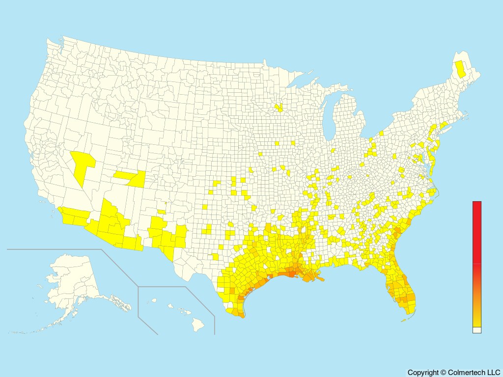 Roseate Spoonbill (Platalea ajaja) - United States