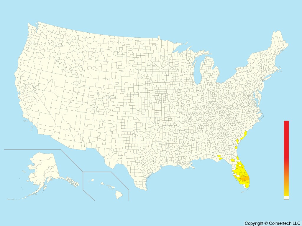 Gray-headed Swamphen (Porphyrio poliocephalus) - United States