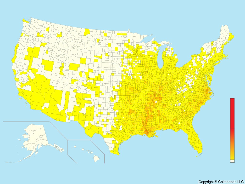 Prothonotary Warbler (Protonotaria citrea) - United States