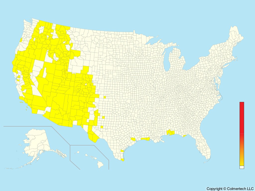 Flammulated Owl (Psiloscops flammeolus) - United States