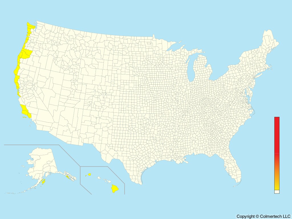Murphy's Petrel (Pterodroma ultima) - United States