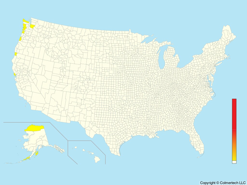 Red-legged Kittiwake (Rissa brevirostris) - United States