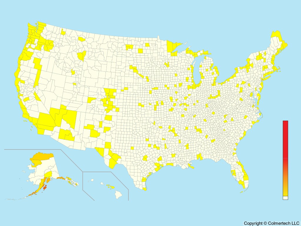 Black-legged Kittiwake (Rissa tridactyla) - United States