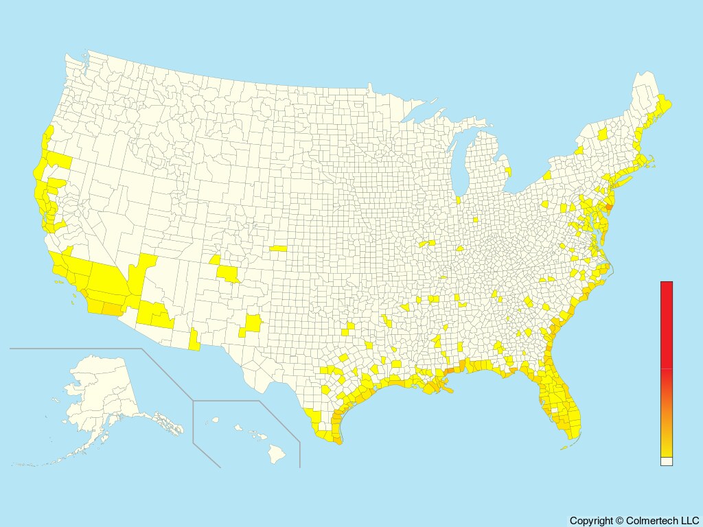 Black Skimmer (Rynchops niger) - United States