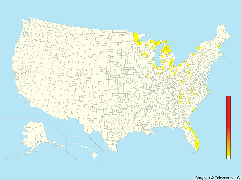 Kirtland's Warbler (Setophaga kirtlandii) - United States