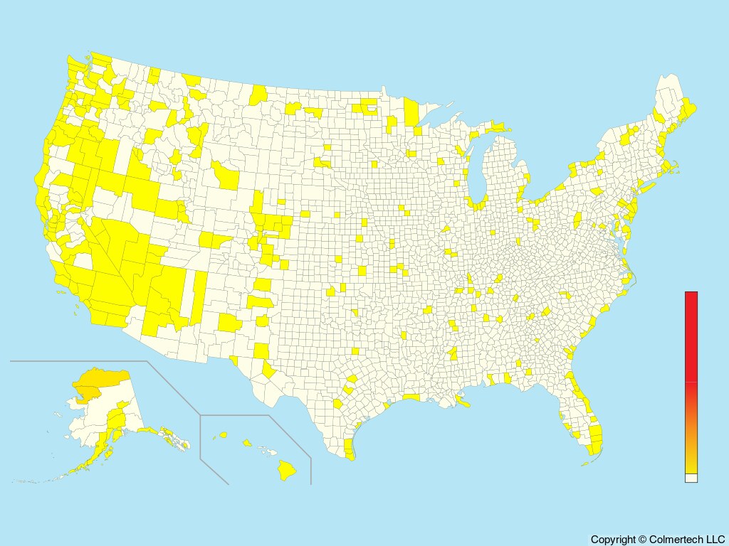 Long-tailed Jaeger (Stercorarius longicaudus) - United States