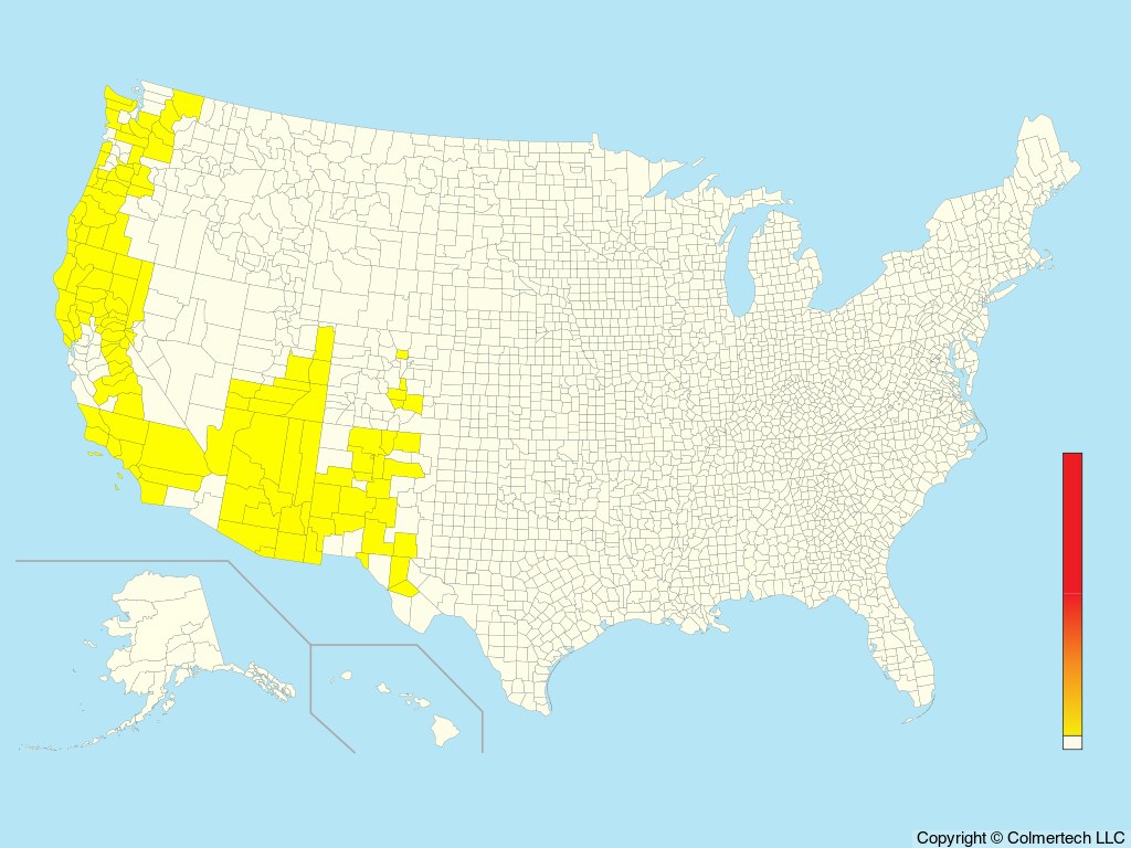 Spotted Owl (Strix occidentalis) - United States