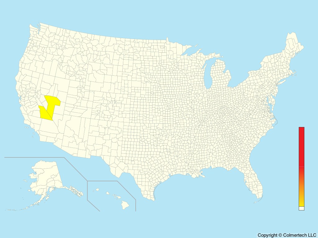 Common Ostrich (Struthio camelus) - United States