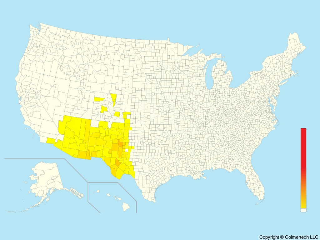 Chihuahuan Meadowlark (Sturnella lilianae) - United States