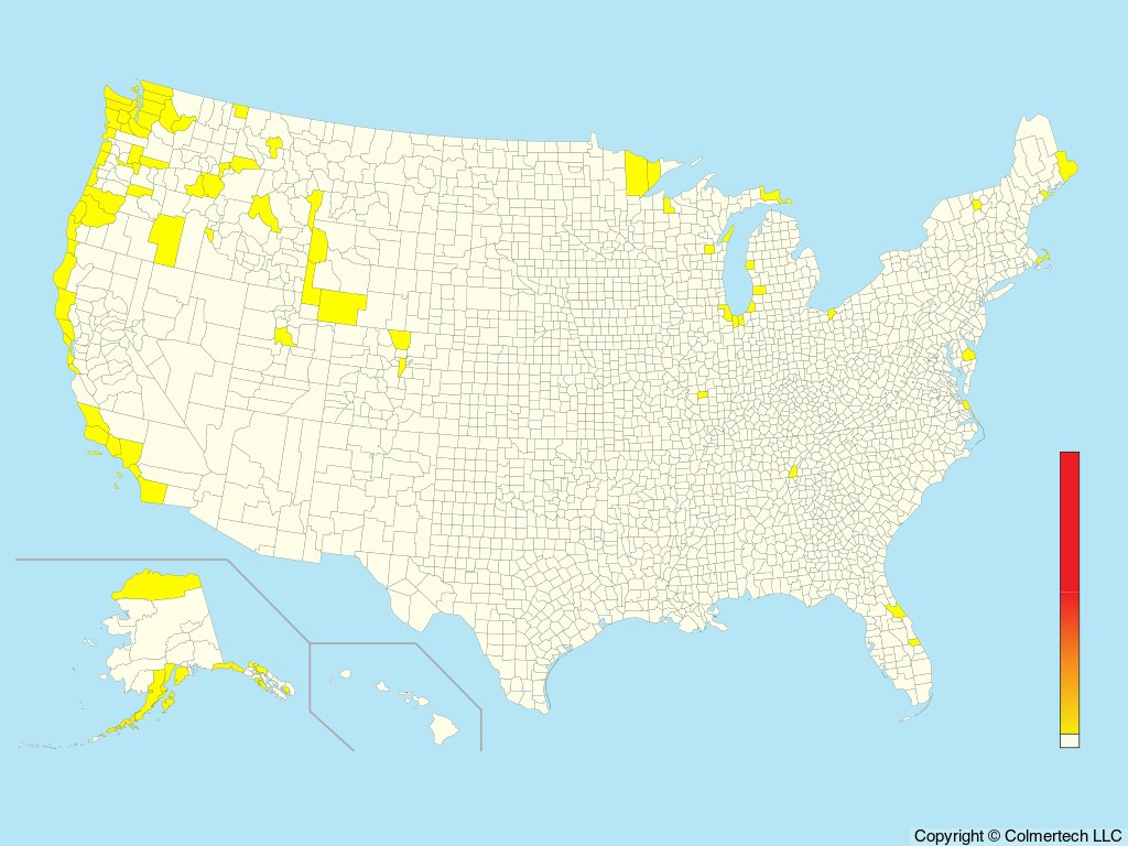 Ancient Murrelet (Synthliboramphus antiquus) - United States