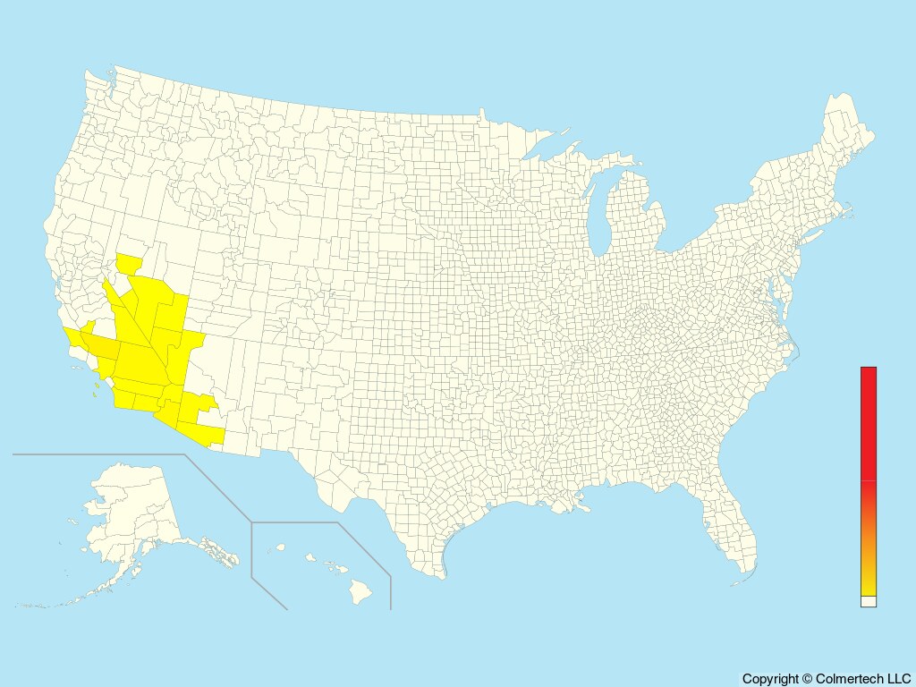 LeConte's Thrasher (Toxostoma lecontei) - United States