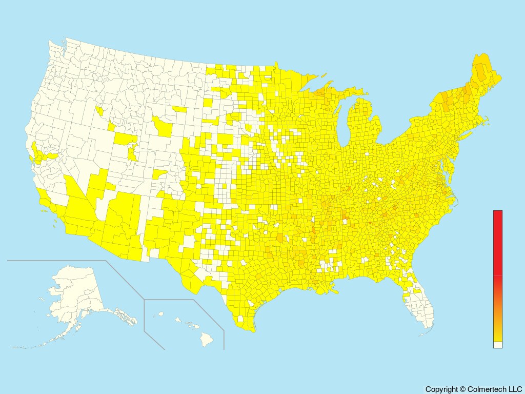 Winter Wren (Troglodytes hiemalis) - United States