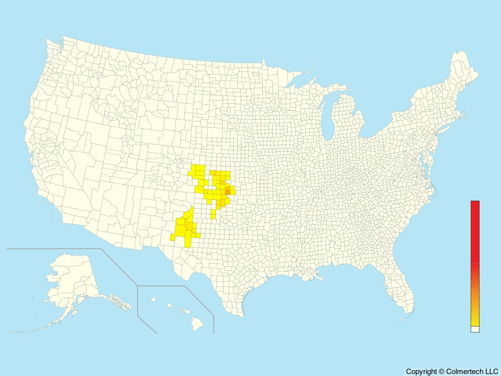 Lesser Prairie-Chicken (Tympanuchus pallidicinctus) - United States