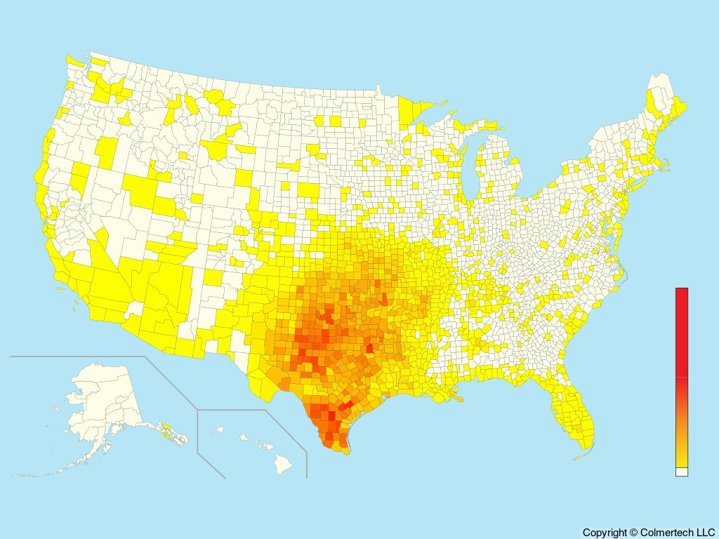 Scissor-tailed Flycatcher (Tyrannus forficatus) - United States