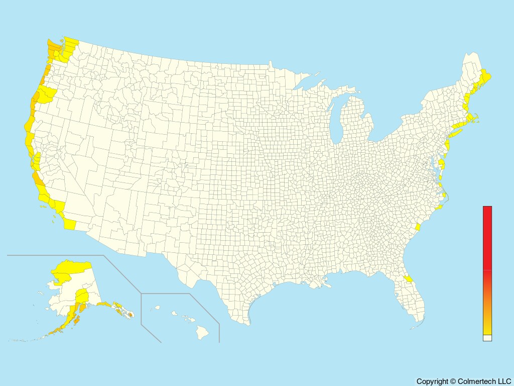 Common Murre (Uria aalge) - United States