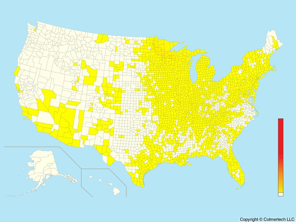 Golden-winged Warbler (Vermivora chrysoptera) - United States