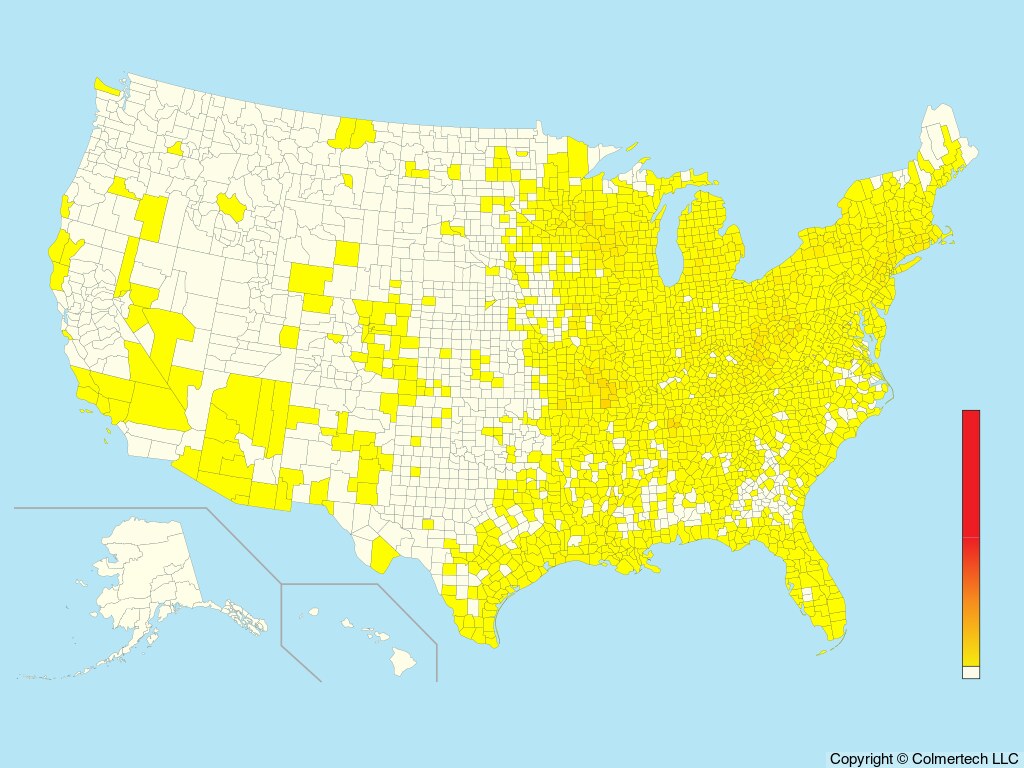 Blue-winged Warbler (Vermivora cyanoptera) - United States
