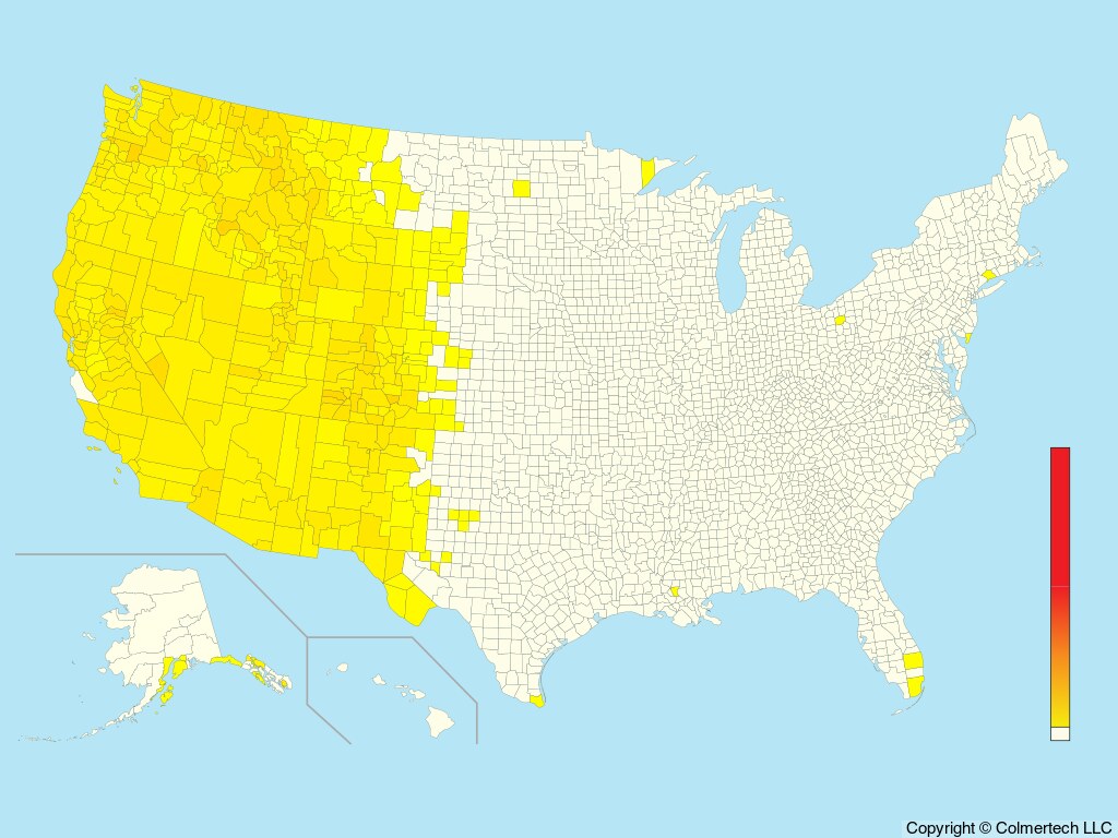 Western Warbling Vireo (Vireo swainsoni) - United States