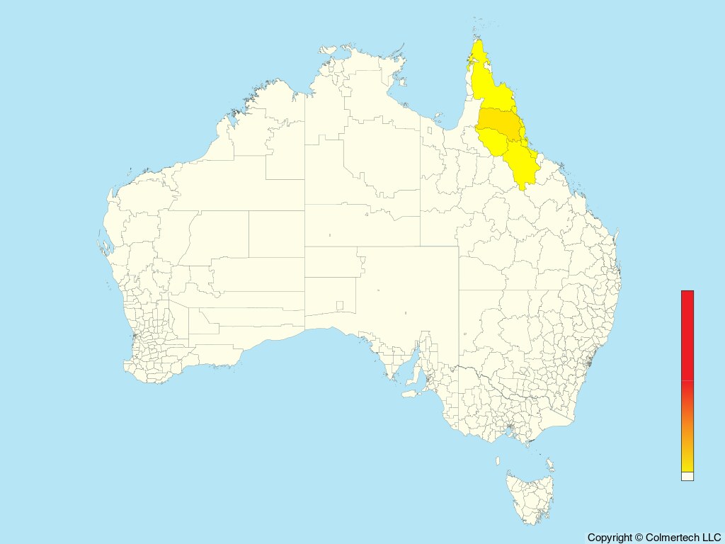 Mountain Thornbill (Acanthiza katherina) - Australia