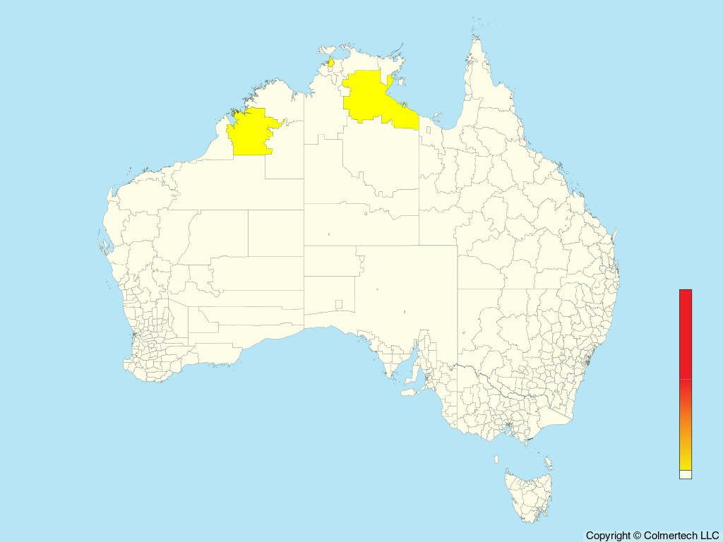 Oriental Reed Warbler (Acrocephalus orientalis) - Australia