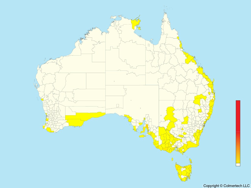 Double-banded Plover (Anarhynchus bicinctus) - Australia
