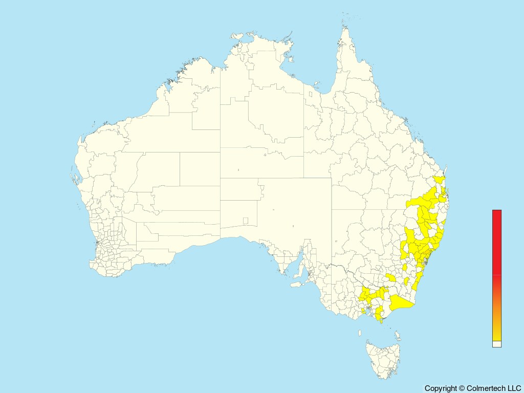 Regent Honeyeater (Anthochaera phrygia) - Australia