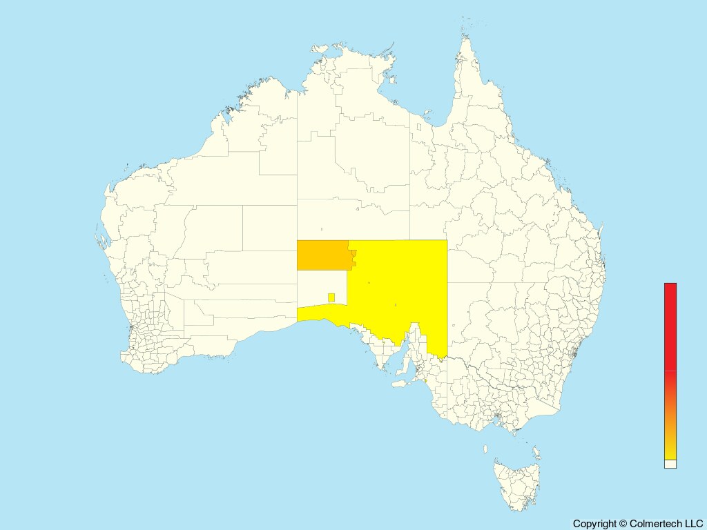 Chestnut-breasted Whiteface (Aphelocephala pectoralis) - Australia