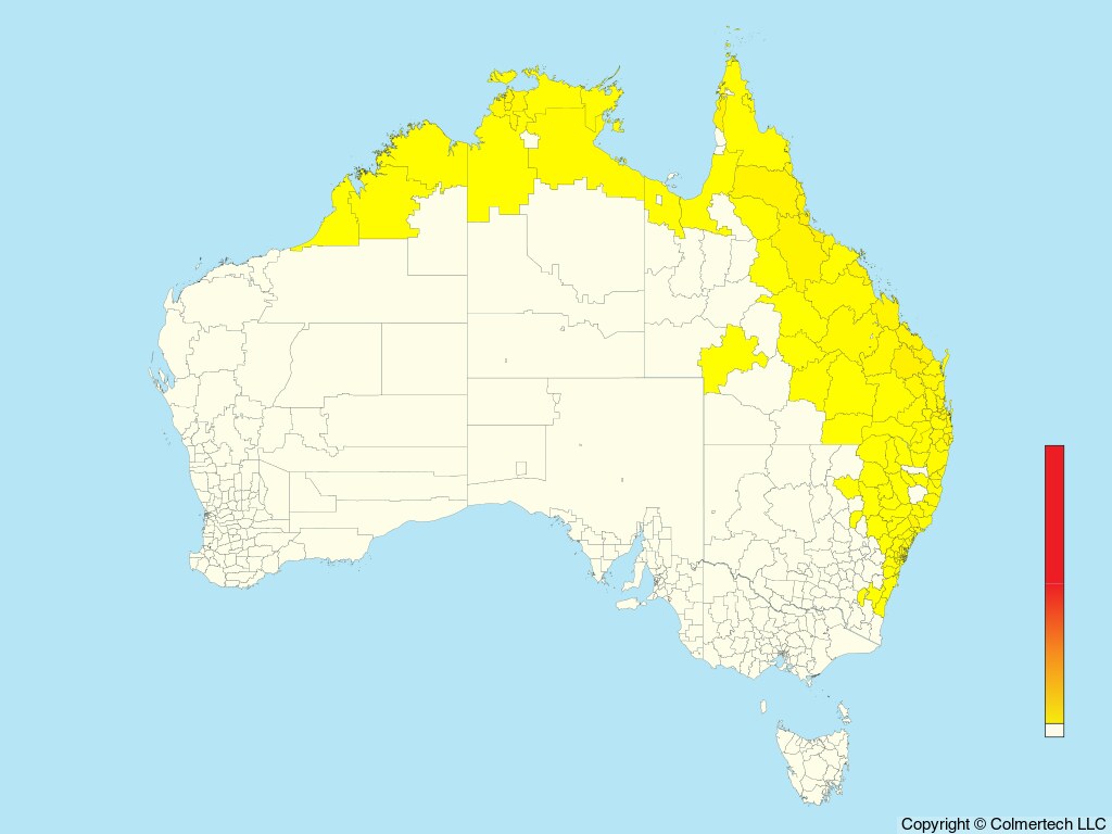 Pacific Baza (Aviceda subcristata) - Australia