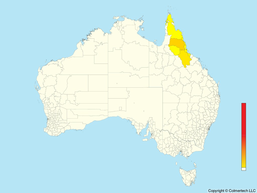 Bridled Honeyeater (Bolemoreus frenatus) - Australia