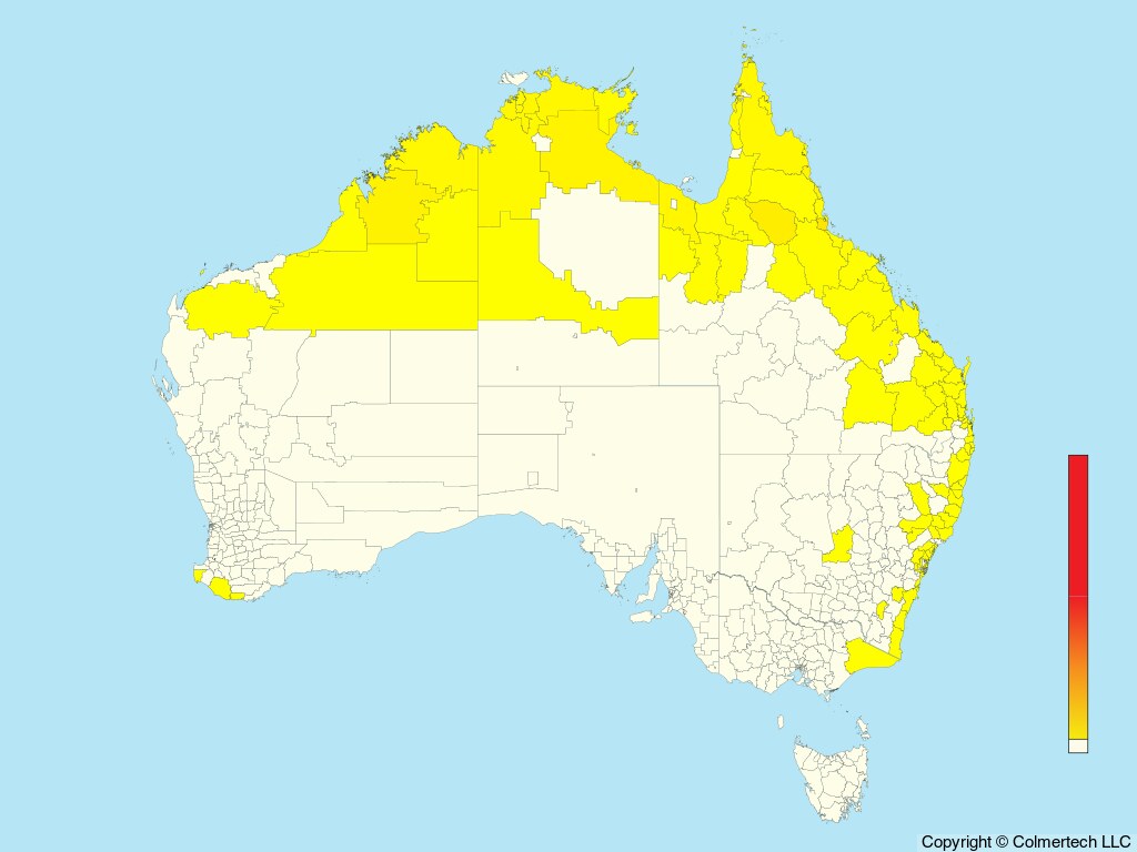 Black Bittern (Botaurus flavicollis) - Australia