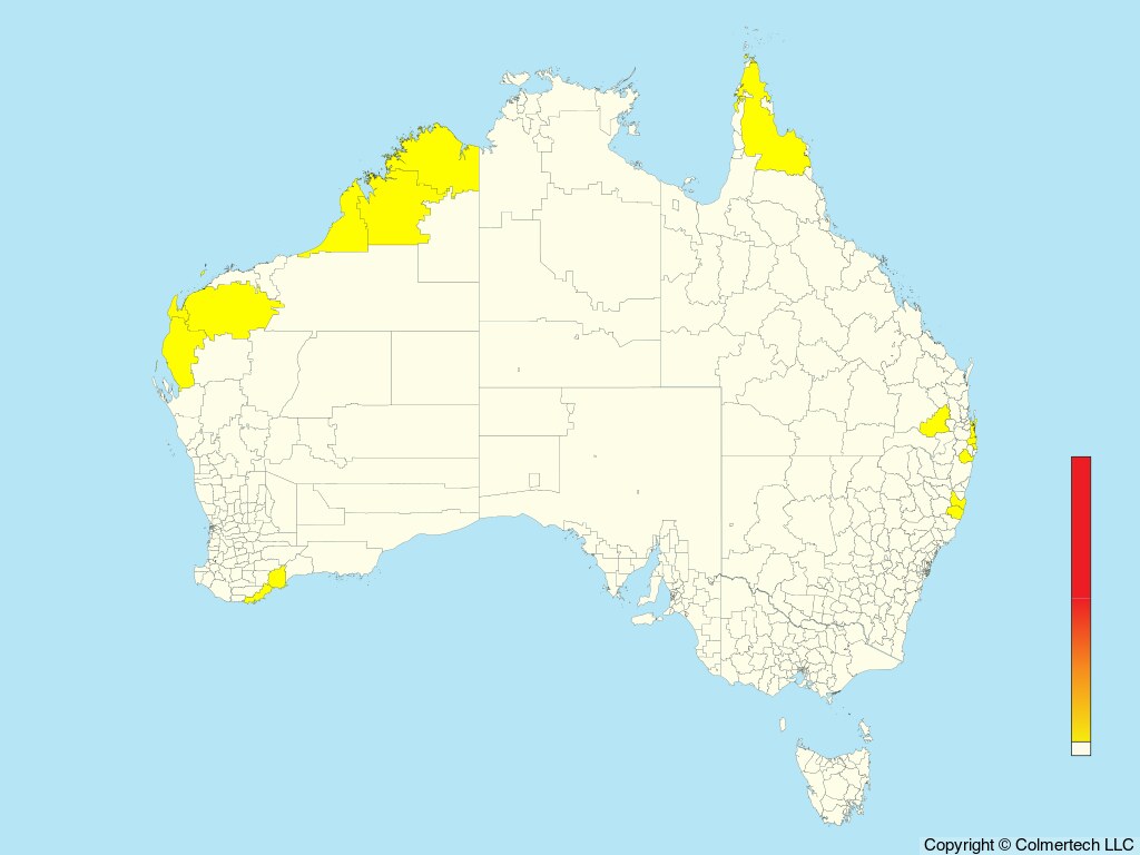 Bulwer's Petrel (Bulweria bulwerii) - Australia